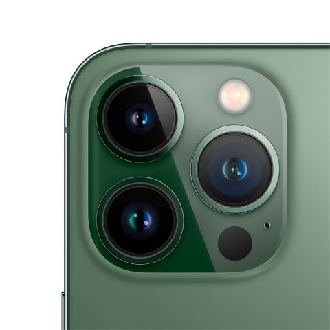 APPLE iPhone 13 Pro 128GB Alpine Green, Grade C, Used