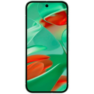 GOOGLE Pixel 9 12/128Gb Wintergreen, Grade B, Used