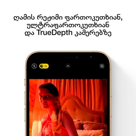 APPLE iPhone 12 Pro 256GB Silver, Grade C