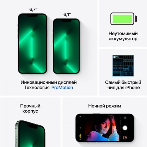 APPLE iPhone 13 Pro Max 256GB Alpine Green, Grade A