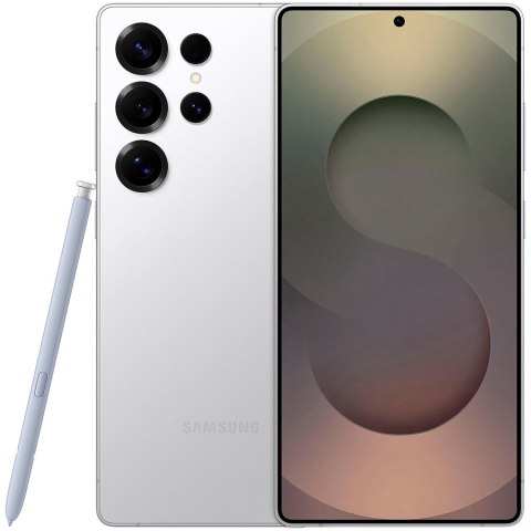 SAMSUNG Galaxy S25 Ultra (S938B) 1GB Titanium Silver, Grade A, Used