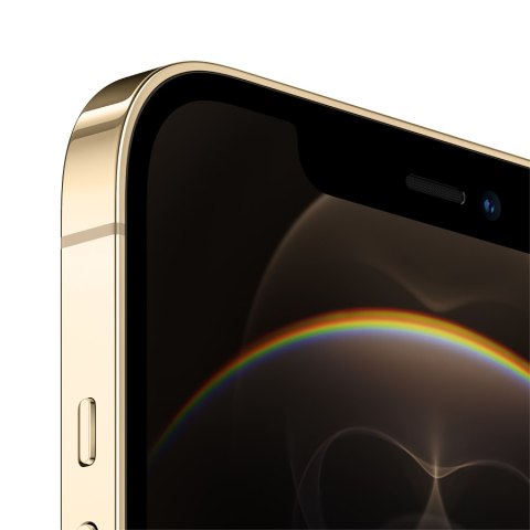 APPLE iPhone 12 Pro Max 128GB Gold, Grade B