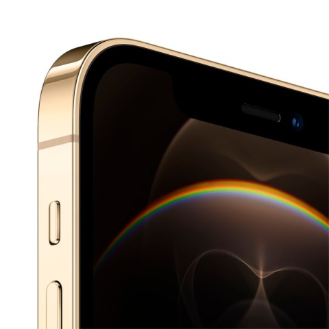 APPLE iPhone 12 Pro 256GB Gold, Grade B, Used